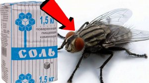 Как избавиться от мух на даче За 3 Секунды .!!!..