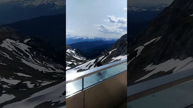 Альпийские галки на Пилатусе смотреть онлайн