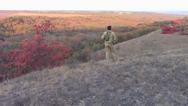 16_10_2020_УТРЕННЯЯ ЗАРЯ_СТЕПЬ.mp4 смотреть онлайн