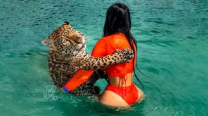 ОПАСНЫЕ ЖИВОТНЫЕ, КОТОРЫЕ МОГУТ БЫТЬ ДРУЖЕЛЮБНЫМИ.