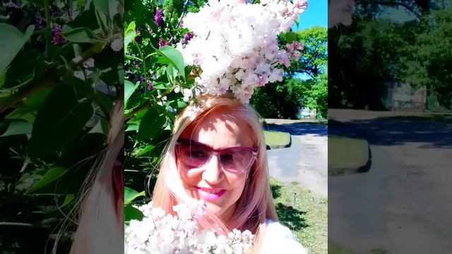Расцвела сирень в Ботаническом саду. смотреть онлайн