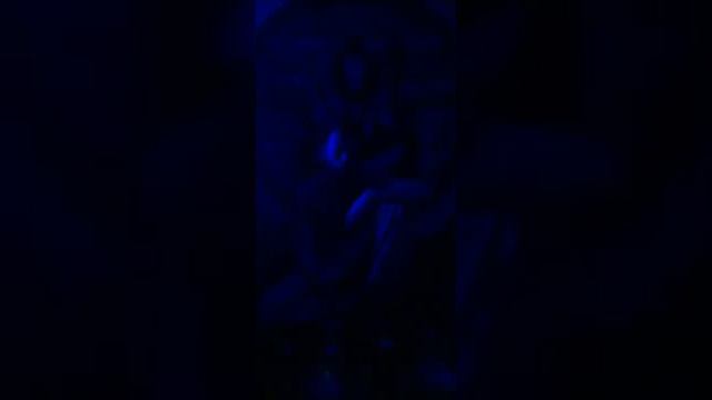 Поющие чаши смотреть онлайн