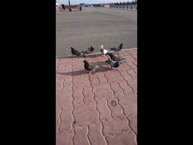 14 августа 2018 г. смотреть онлайн