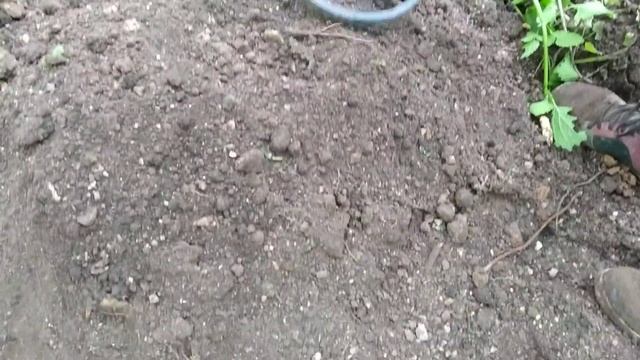 Шурф учебный)