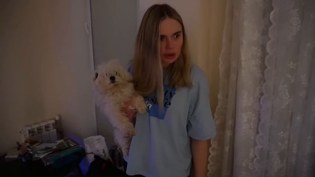 КРЫСИНЫЙ КОРОЛЬ В РЕАЛЬНОЙ ЖИЗНИ В НАШЕМ ДОМЕ С КОТАМИ И СОБАКОЙ | ВЫЗВАЛИ ДУХА ПРОТИВ ЩЕЛКУНЧИКА