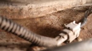 замена датчика АБС задниго на Субару трибека 2006г