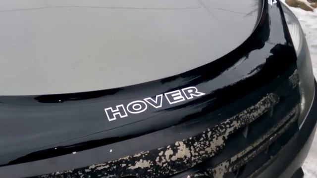 Немного гламура,мухобойка на GW HOVER H2