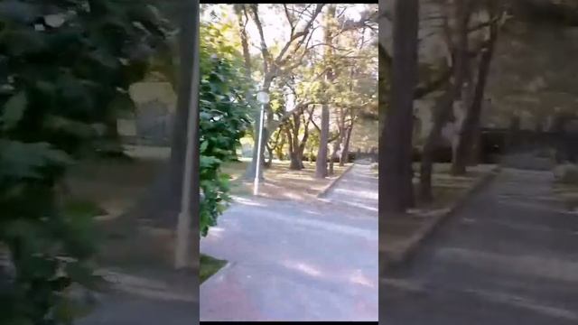 Наш отдых в селе Дивноморское (Геленджик). Пансионат "Приморский" смотреть онлайн