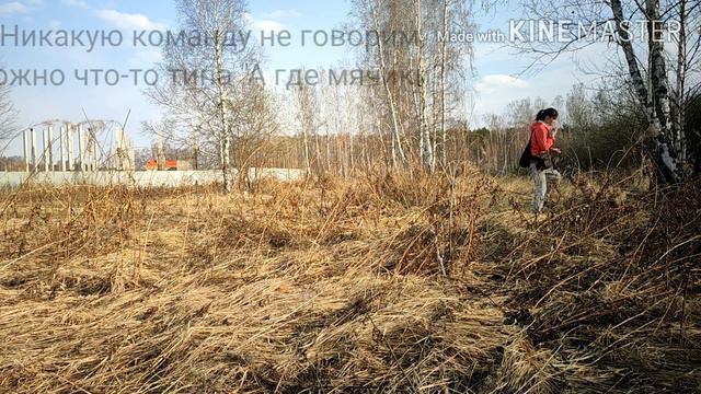 Ближний поиск (рабочий лабрадор) смотреть онлайн