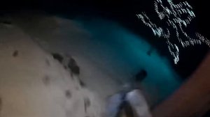 ОБРЮХАТИЛИ НА ВПИСКЕ (ВПИСКА В БОРИСПОЛЕ) [2017]