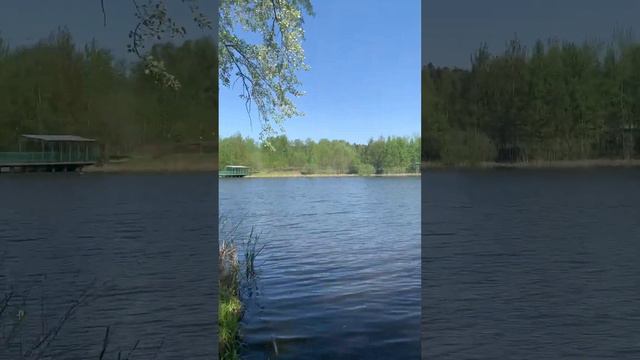 #Русская #природа, гладь пруда, озера #озеро #весна #отдых на природе смотреть онлайн