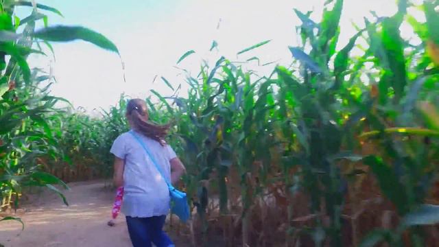 Неделя с камерой. Как мы ходили в Кукулабию? смотреть онлайн