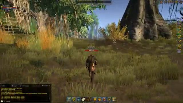 Shroud of the Avatar. Итоги 20го года. Кратко о новых локациях, маунты, и другие нововведения. смотреть онлайн