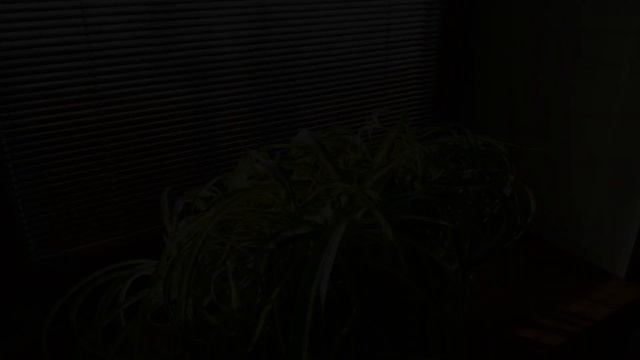 ХЛОРОФИТУМ - ЭНЕРГИЯ РАСТЕНИЯ смотреть онлайн