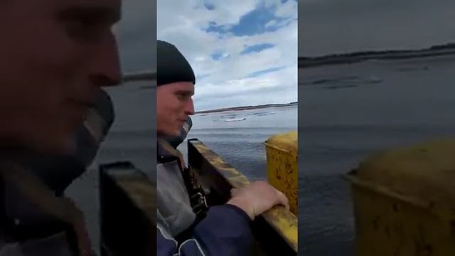 Чукотка.Певек.К-700 пробирается через реку!русские дороги! смотреть онлайн