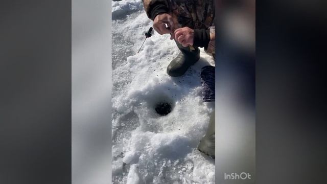 Озеро Тургояк. Рыбалка и подводная съемка. Прошлый год смотреть онлайн