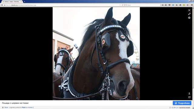 Что делать если YouTude канал не пошел смотреть онлайн