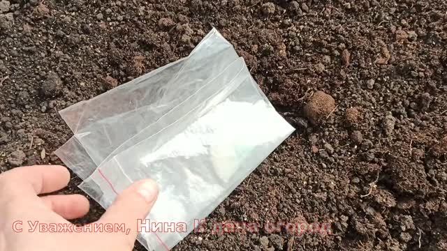 ПРИ ТАКОМ ВЫРАЩИВАНИИ ОГУРЦОВ, СВОИ ОГУРЦЫ ЕДИМ УЖЕ В МАЕ в Сибири Огурцы в ведре сажаем в апреле смотреть онлайн