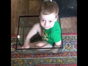 Лайфхак как отделить зерна от шелухи, как отчистить корм попугаев