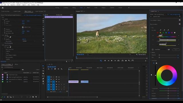 Как изменить один цвет в Premiere Pro смотреть онлайн