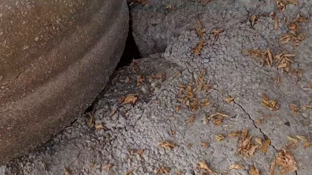 Затопило дачу / наши приключения!??? смотреть онлайн