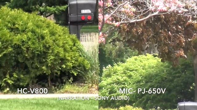 Panasonic HC-V800 vs Sony HDR-PJ650 - Color , Low light and more... смотреть онлайн