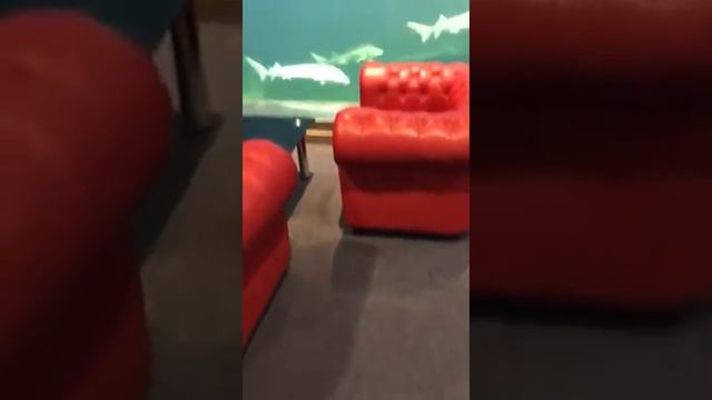 Рыбный ресторан. смотреть онлайн