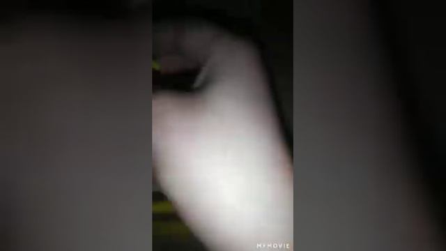 обзор распаковка Фингер бмх Joom