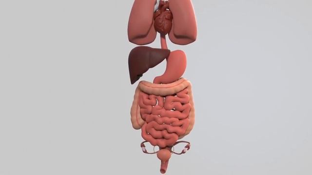 Что творят тыквенные семечки ? Как есть тыквенные семечки ? смотреть онлайн