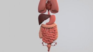 Что творят тыквенные семечки ? Как есть тыквенные семечки ?