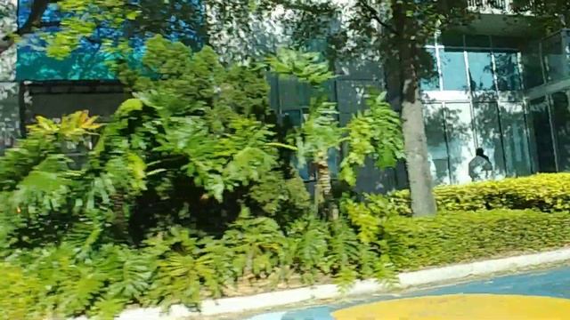 США. Каждый сверчок... . Сохранить жизнь и здоровье! смотреть онлайн