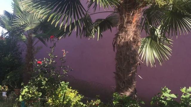 Красота природы и не только (Масаллы) Masallı