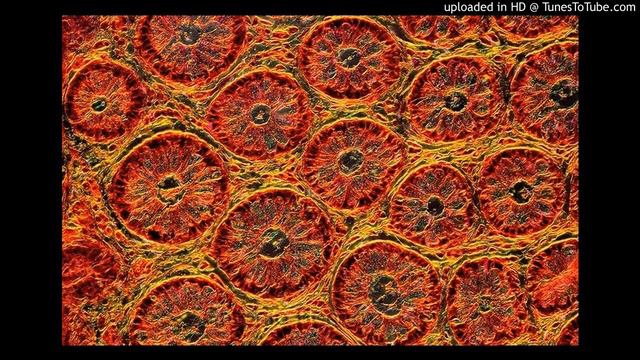 Ricardo Villalobos - Title 01