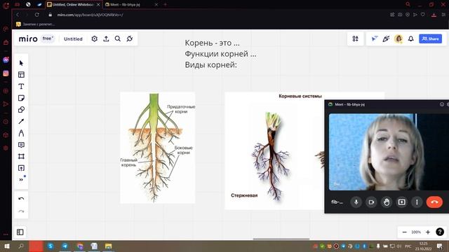 Корень смотреть онлайн