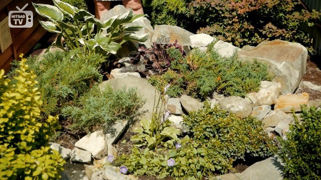 Ландшафтный дизайн сада ? Альпийская горка своими руками ➡ Мастер класс эксперта HitsadTV