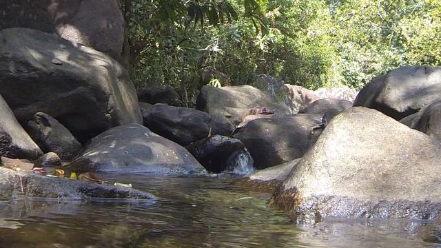 водопад на Шри-Ланке (Relax, релакс) смотреть онлайн