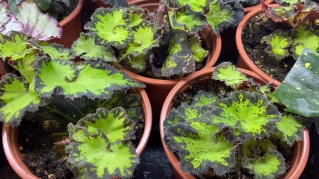 ЭТО МОЙ РАЙ...