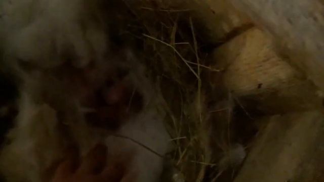 Кто не работает тот не ест. Летом нужно работать а зимой нога болтать.??? смотреть онлайн