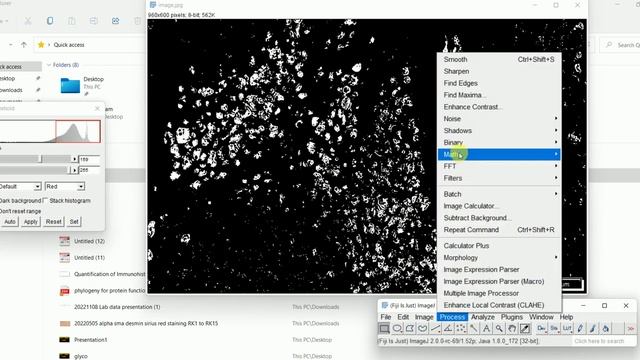 How to Count Cells Using ImageJ | How to Count Cells in Imagej | Imagej Cell Counting | смотреть онлайн