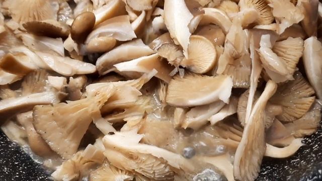 Вешенка или устричный гриб! Вкус просто бомбический! Как приготовить вешенки? смотреть онлайн