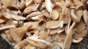 Вешенка или устричный гриб! Вкус просто бомбический! Как приготовить вешенки?