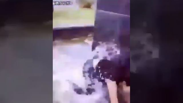 Ржу не могу🤣 танцы в общественных местах) смотреть онлайн
