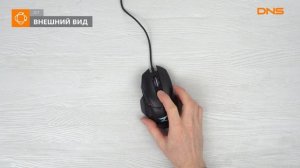 Распаковка мыши ZET Executor 2 / Unboxing ZET Executor 2