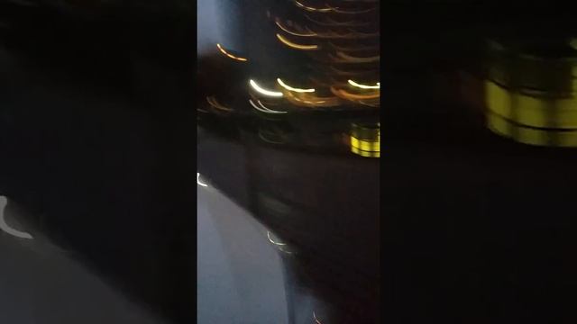 Где собака?! смотреть онлайн