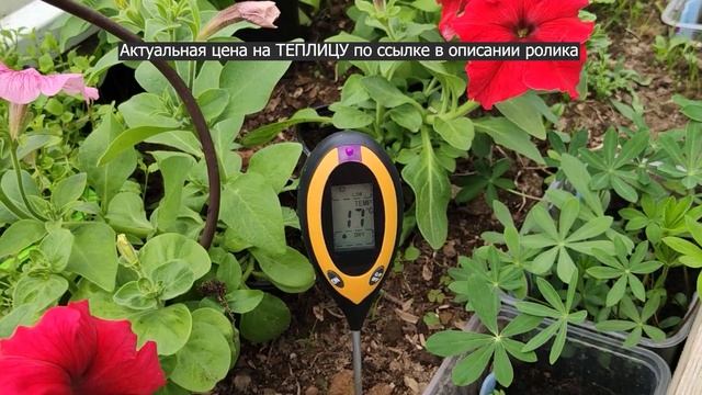 Зачем утеплять теплицу из поликарбоната пеноплексом смотреть онлайн