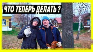 СТОЛЬКО СИЛ ПОТРАЧЕНО, А ВСЕ НАПРАСНО | НИЧЕГО НЕ ПОЛУЧАЕТСЯ