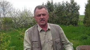 Как правильно сделать грунтосмесь для пересадки деревьев и кустарников