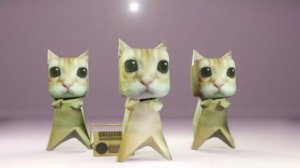 Милые котики танцуют чечётку?/Скачать фон котики танцуют бесплатно??