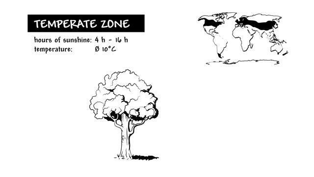 Climate Zones Explained (explainity® Explainer Video)