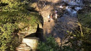 Тисо-самшитовая роща. Октябрь 2023 г. Маршрут «Большое кольцо» и каньон «Чертовы ворота».